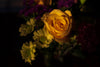 “Look to the Rose that blows..."